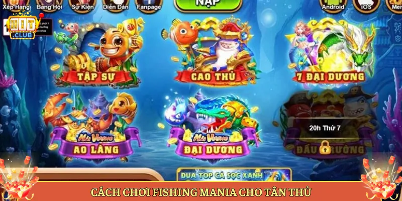 Cách Chơi Fishing Mania Cho Tân Thủ