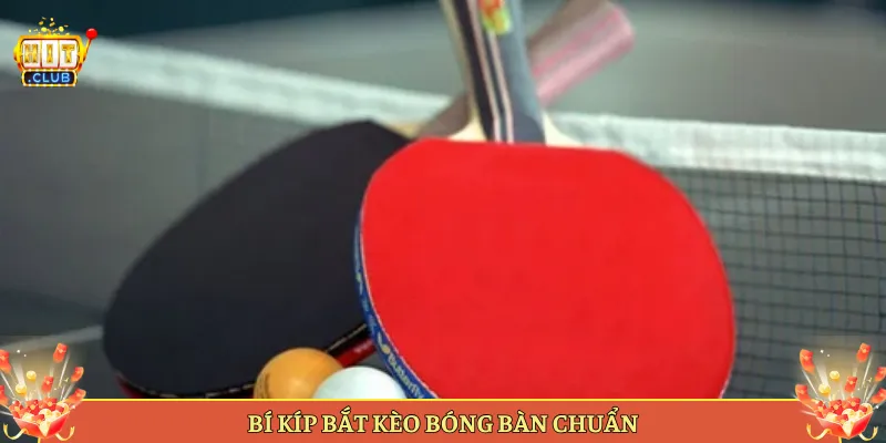 Bí Kíp Bắt Kèo Bóng Bàn Chuẩn