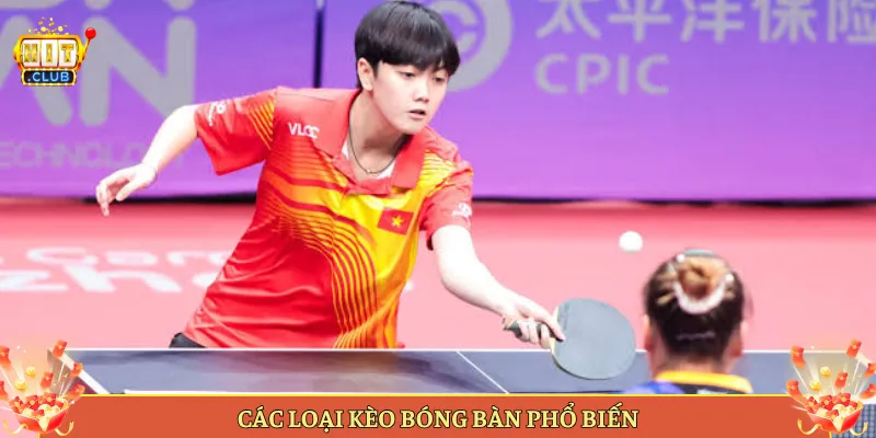 Các Loại Kèo Bóng Bàn Phổ Biến