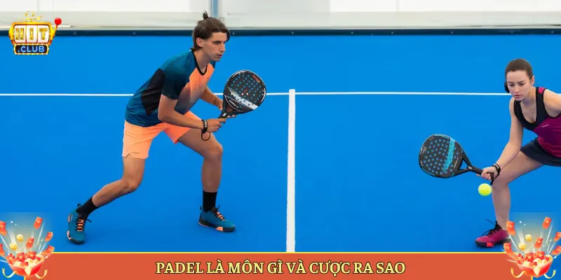 Padel Là Môn Gì Và Cược Ra Sao